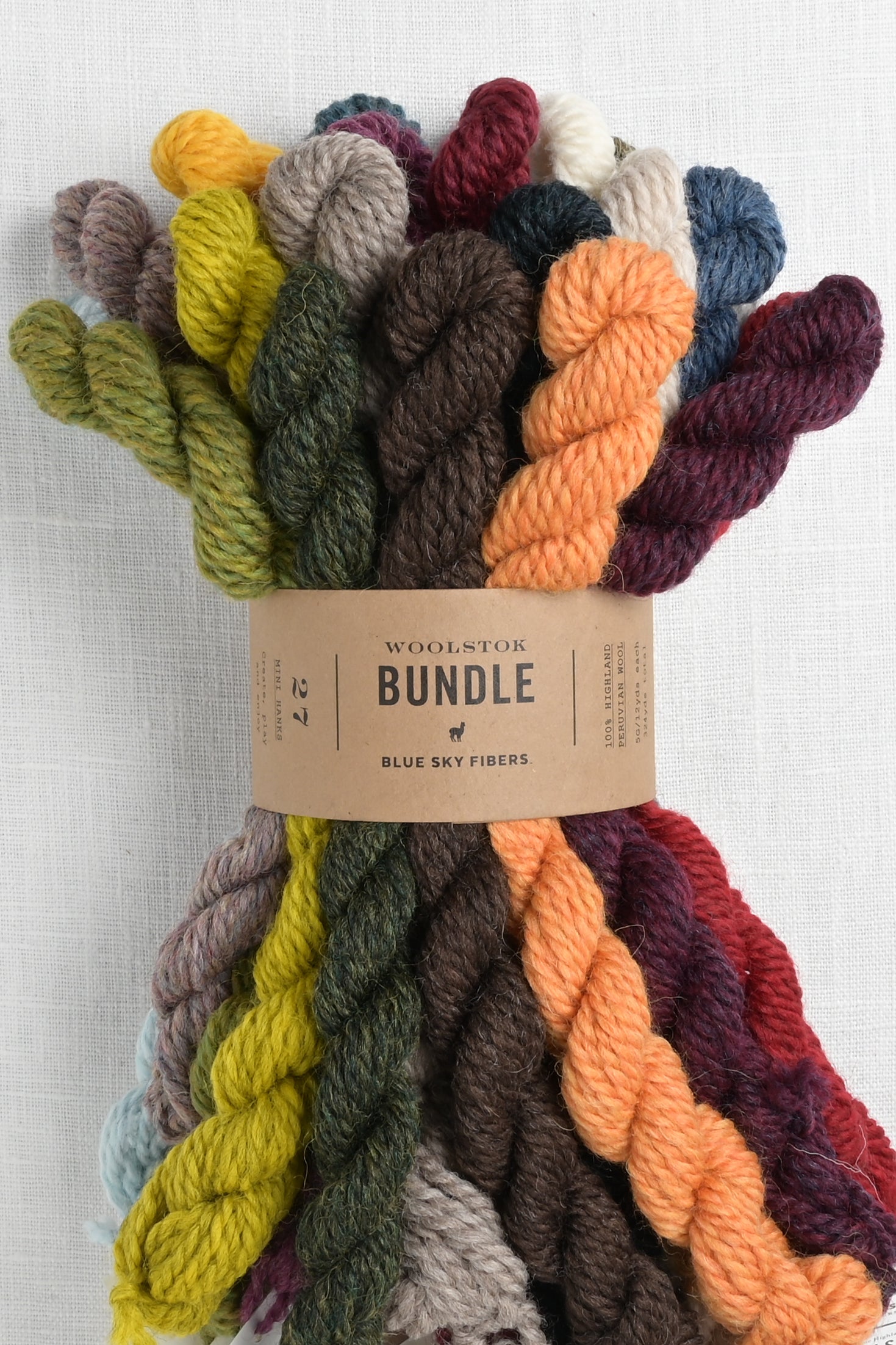 Blue Sky Fibers Woolstok Bundle 27 Color Bundle – Wool and