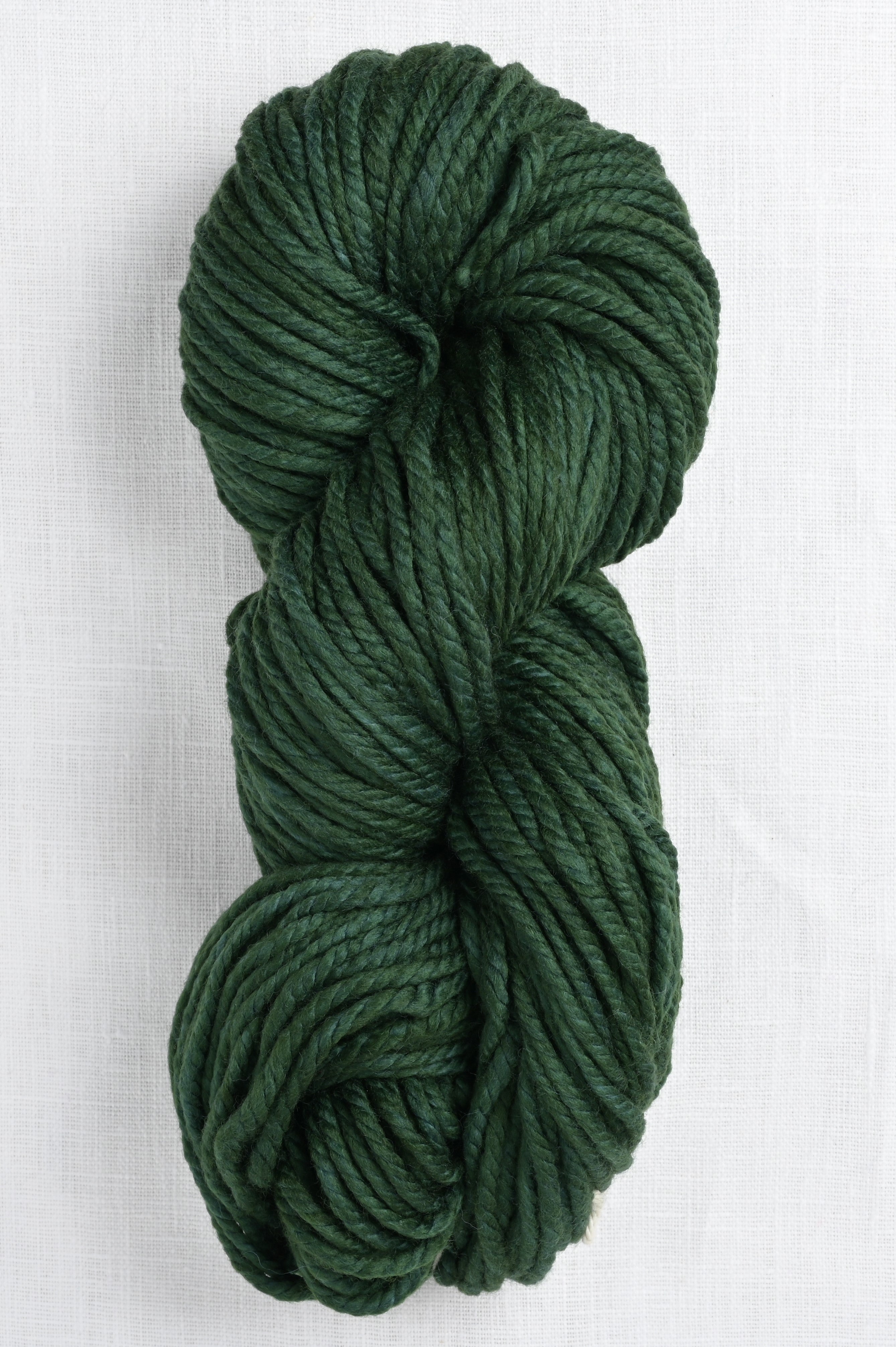 Malabrigo Chunky 083 Water Green – Wool and Company