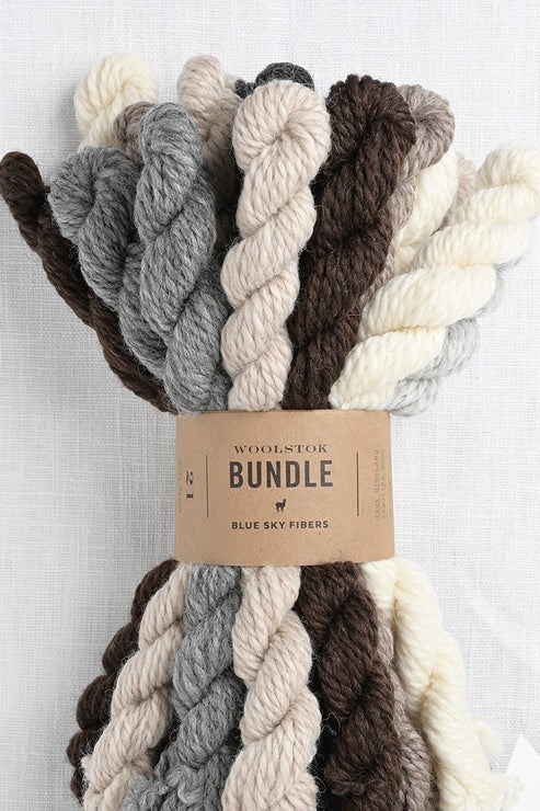 Blue Sky Fibers Woolstok Bundle