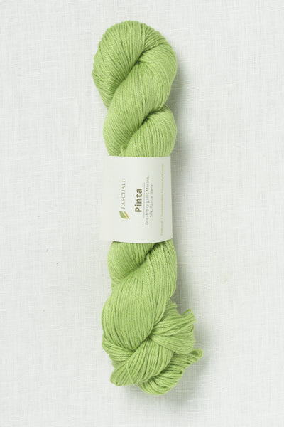 Pascuali Pinta 104 Lime