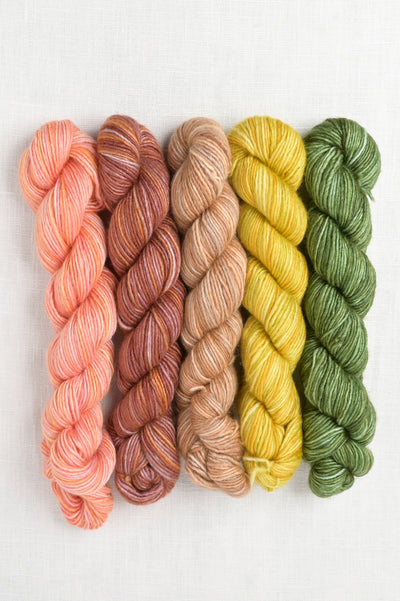 Manos del Uruguay Fino Mini-Skein Set FM24 Bernadette