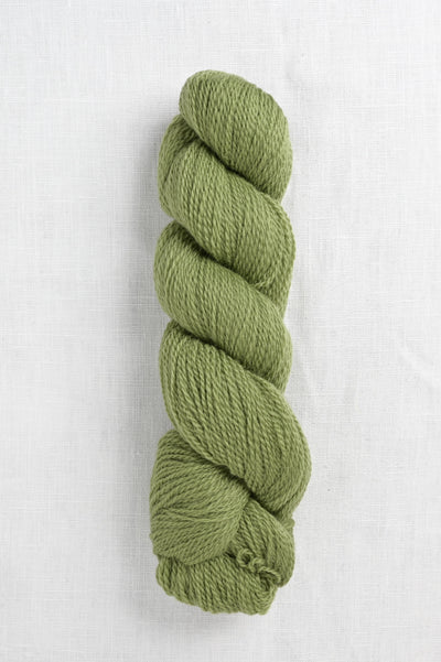 Cascade 220 Fingering 1027 Turtle Green