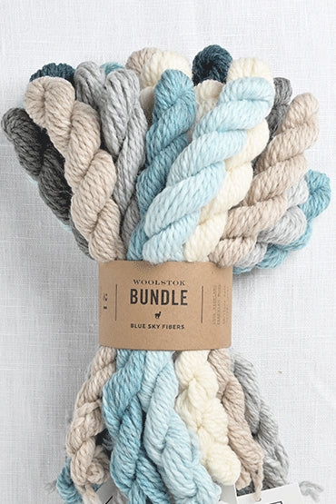 Blue Sky Fibers Woolstok Bundle Holiday Frost