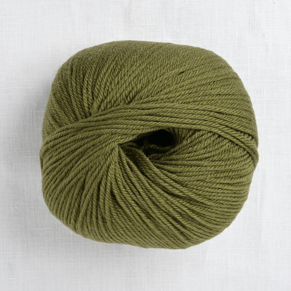 Cascade 220 Superwash 312 Avocado