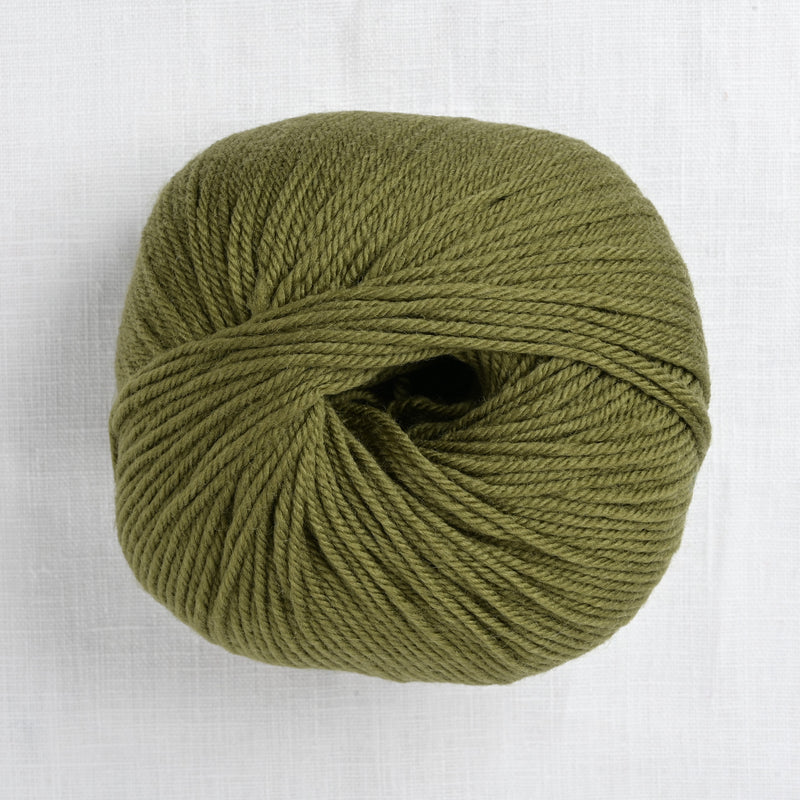 Cascade 220 Superwash 312 Avocado