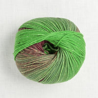 Lang Yarns Merino Plus Color 202 Green Bordeaux Salmon