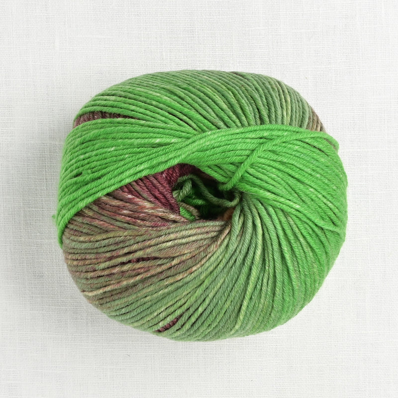 Lang Yarns Merino Plus Color 202 Green Bordeaux Salmon