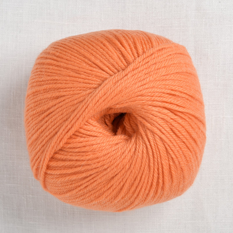 Cascade 220 Superwash 345 Autumn Sunset