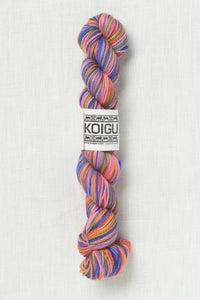 Koigu Painter's Palette Premium Merino KPPPM P035