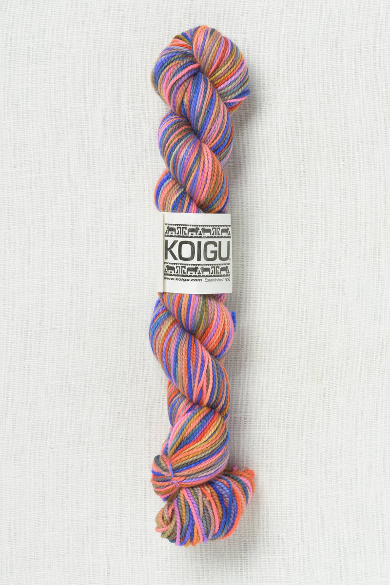 Koigu Painter's Palette Premium Merino KPPPM P035