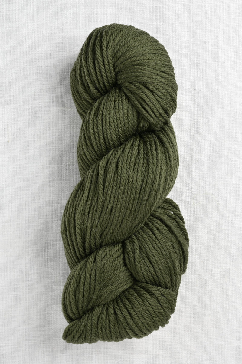 Cascade 220 Superwash Aran 336 Chive