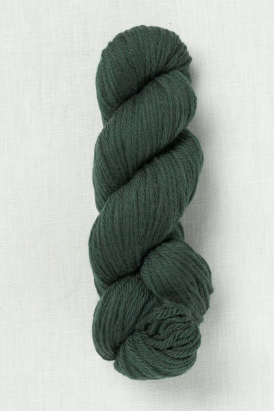 Cascade 220 Superwash Aran 258 Pine Grove