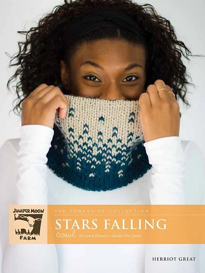 Stars Falling by Lauria Kincaid & Alasdair Post-Quinn