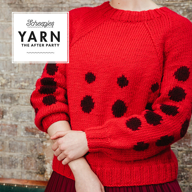 Ladybird Jumper by Scheepjes Designs