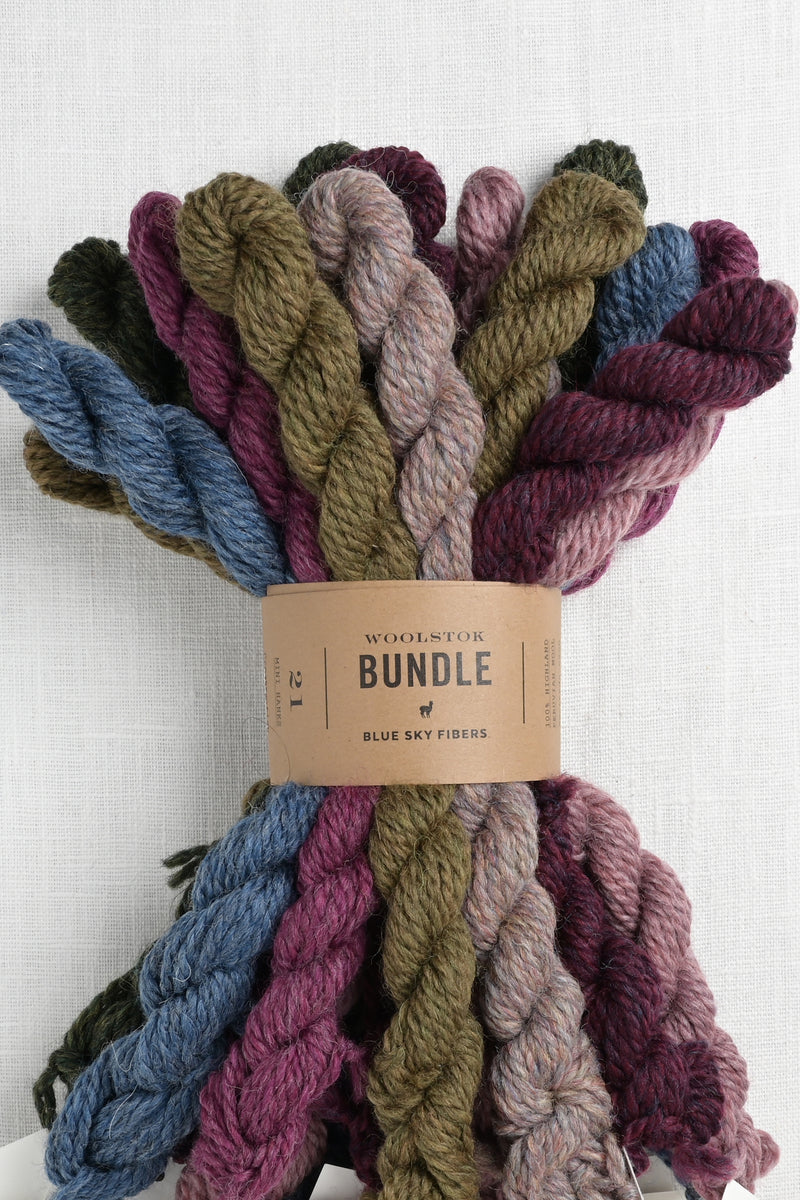 Blue Sky Fibers Woolstok Bundle Bramble & Fig