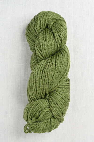 Cascade 220 Superwash Aran 317 Dark Moss