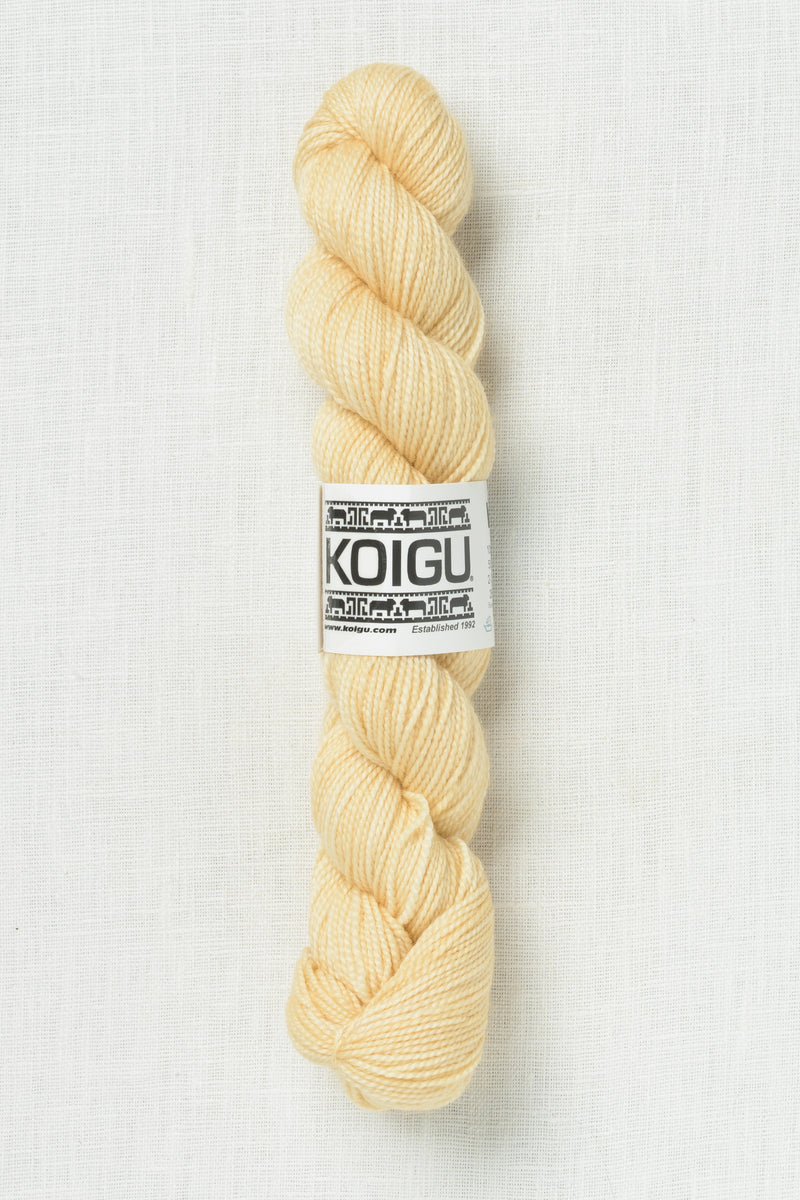 Koigu Premium Merino KPM 5311