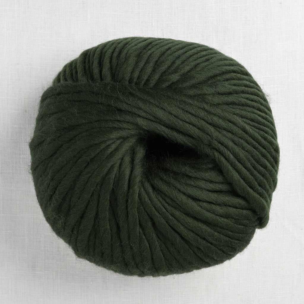 Wool and the Gang Crazy Sexy Wool 290 Heritage Green