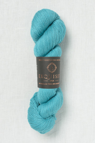 WYS Exquisite 4 Ply 1129 Naples