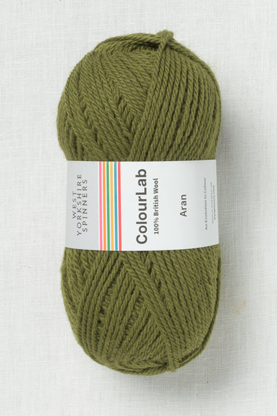 WYS ColourLab Aran Moss Green