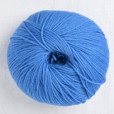 Cascade 220 Superwash 883 Puget Sound