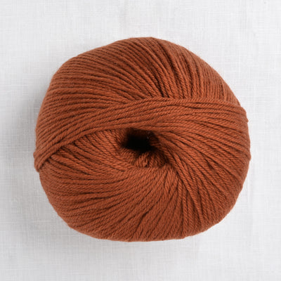 Cascade 220 Superwash 858 Dark Ginger