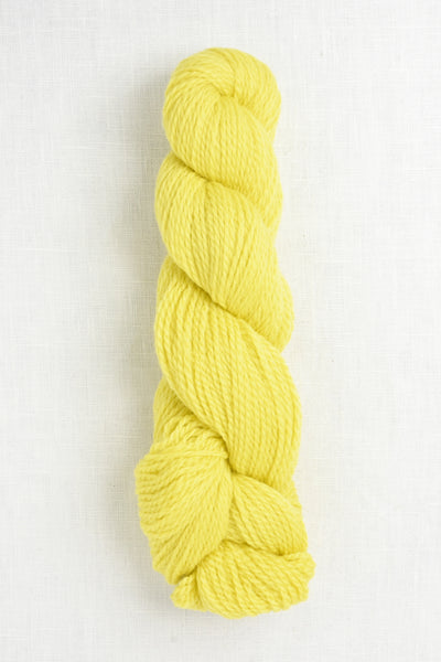 Cascade 220 Sport 1070 Golden Kiwi