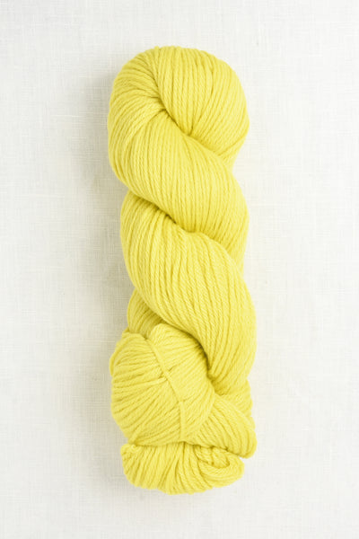 Cascade 220 1070 Golden Kiwi