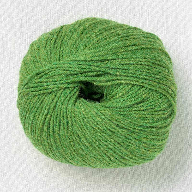 Cascade 220 Superwash 384 Fern Heather