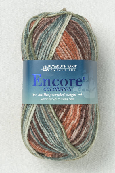 Plymouth Encore Worsted Colorspun 7803 Autumn Mix