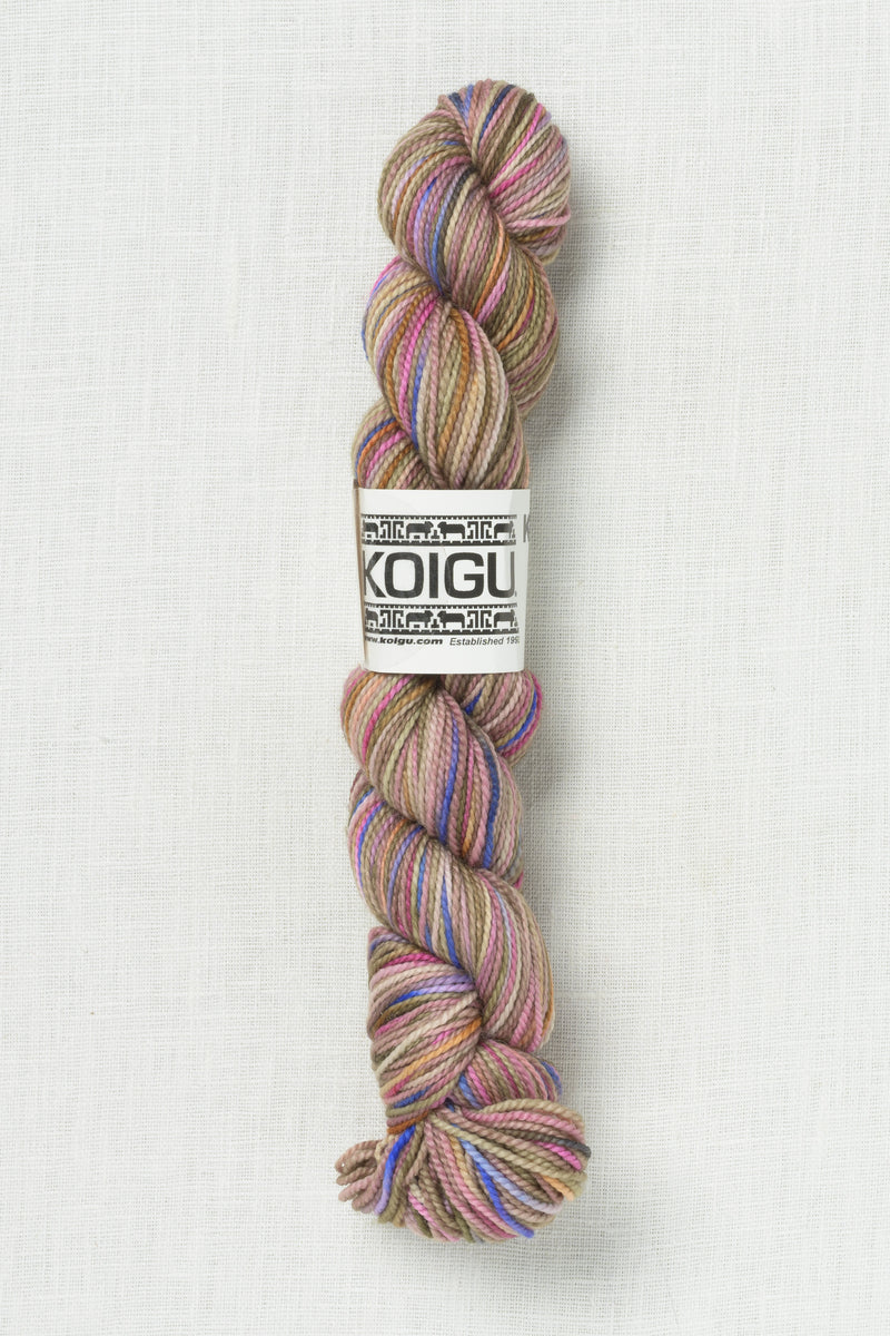 Koigu Painter's Palette Premium Merino KPPPM P088