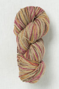 Juniper Moon Patagonia Organic Merino Hand Paints 1015 Sahara