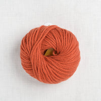 Pascuali Cashmere Worsted 24 Rust (Discontinued)