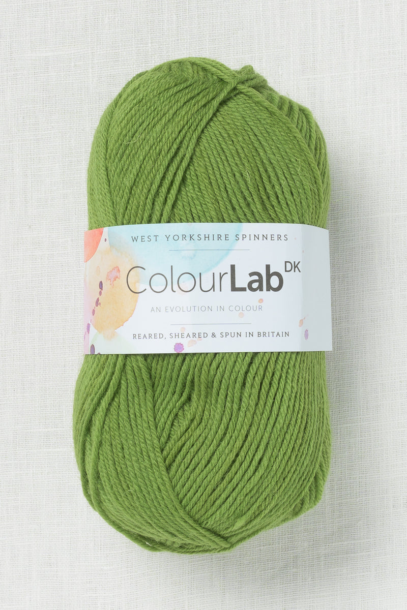 WYS ColourLab DK 1134 Shamrock Green