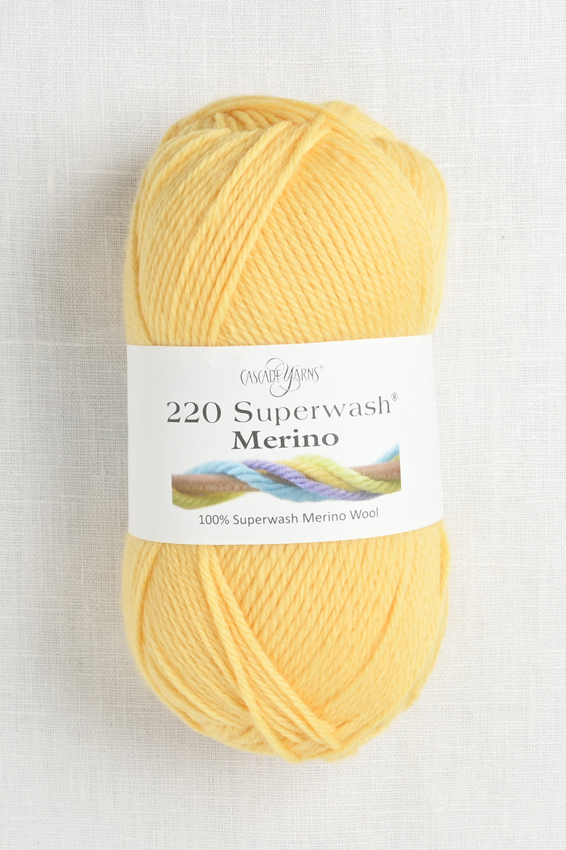 Cascade 220 Superwash Merino 111 Freesia