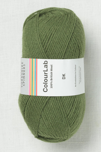 WYS ColourLab DK 1207 Fern Green