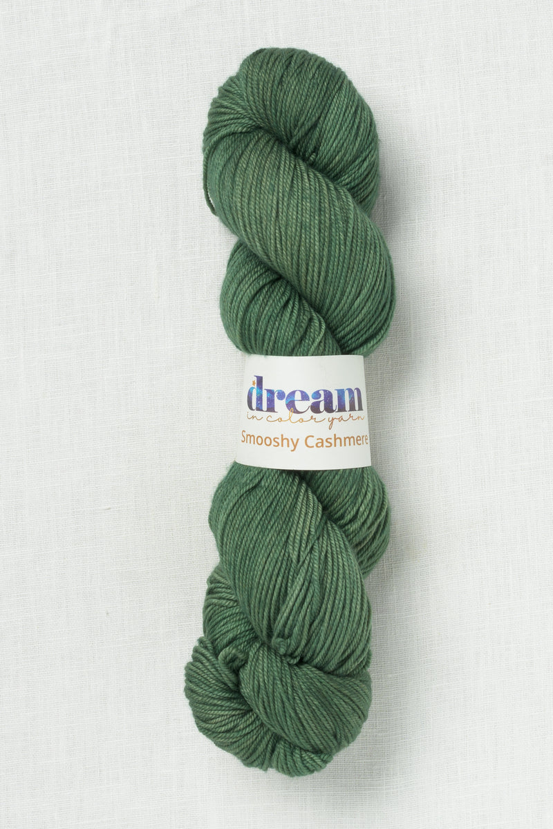 Dream in Color Smooshy Cashmere Power Plant