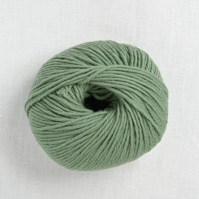 Lang Yarns Merino Plus 91 Aloe Vera