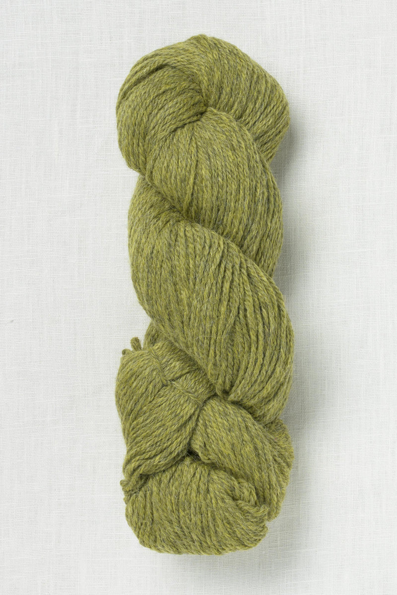 Cascade Woolpaka 12 Turtle