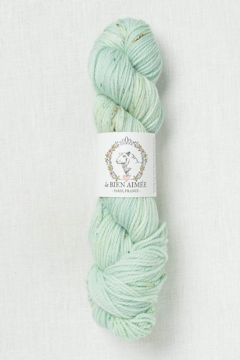 La Bien Aimee Merino Aran Winter Moss