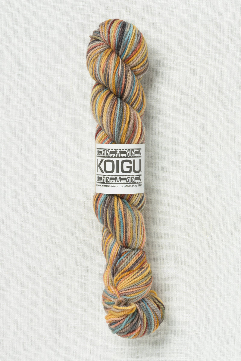 Koigu Painter's Palette Premium Merino KPPPM P041