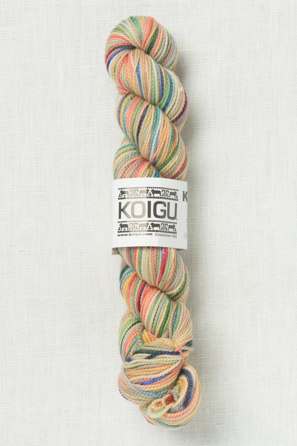 Koigu Painter's Palette Premium Merino KPPPM P001