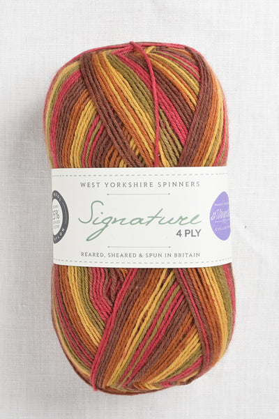 WYS Signature 4 Ply 885 Autumn Leaves