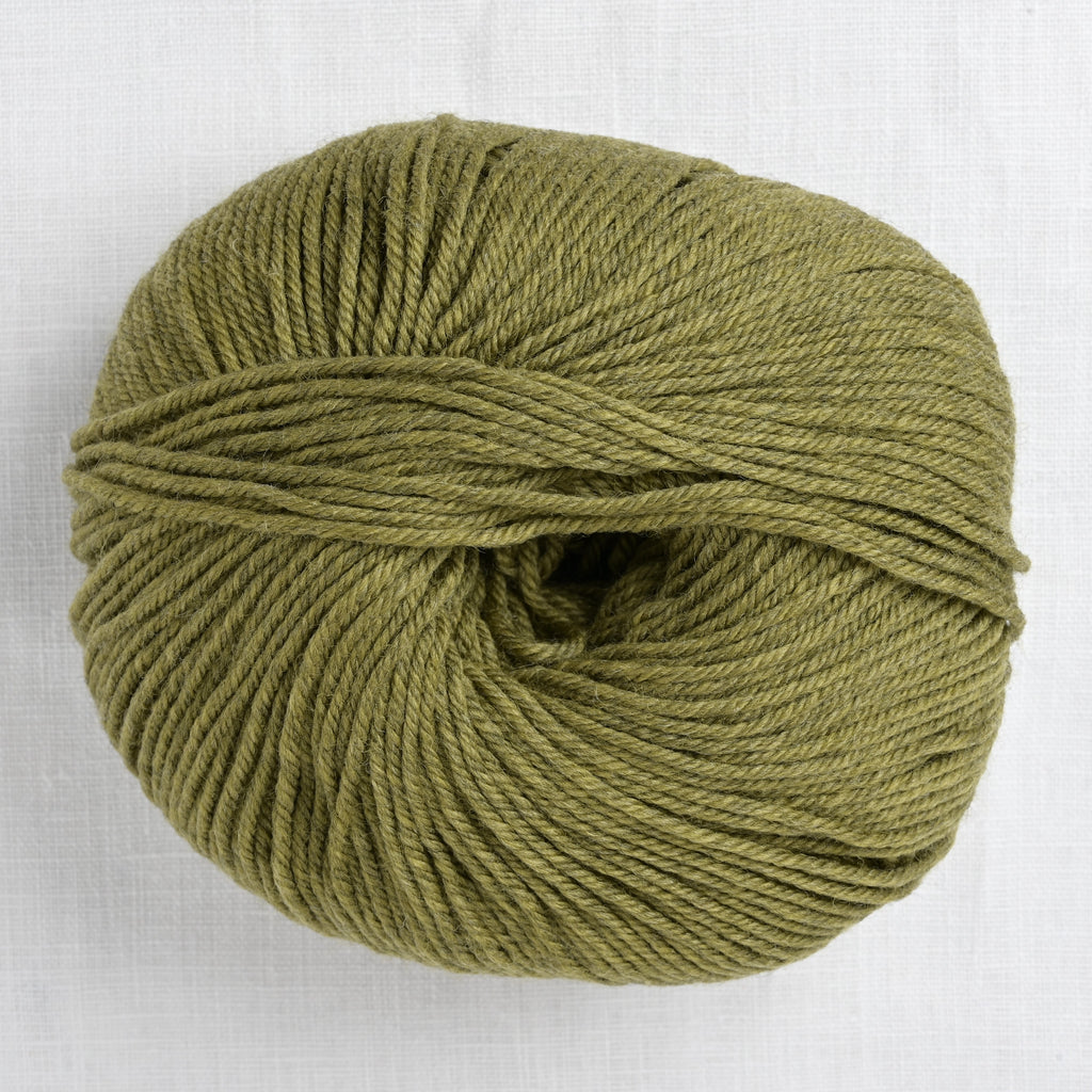 Cascade 220 Superwash 1919 Turtle