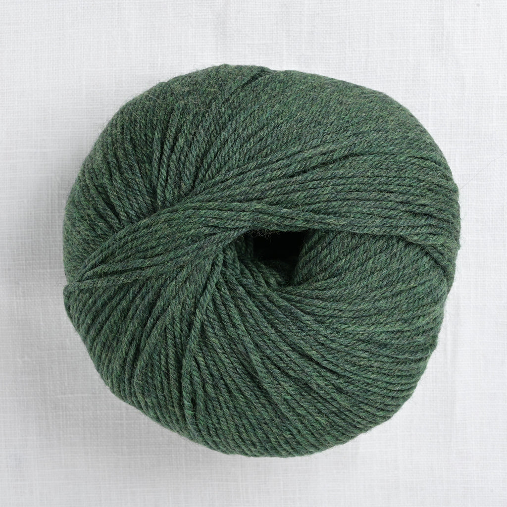 Cascade 220 Superwash 1918 Shire