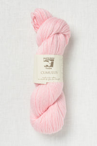 Juniper Moon Cumulus 20 Andean Flamingo