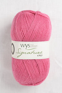 WYS Signature 4 Ply 234 Honeysuckle