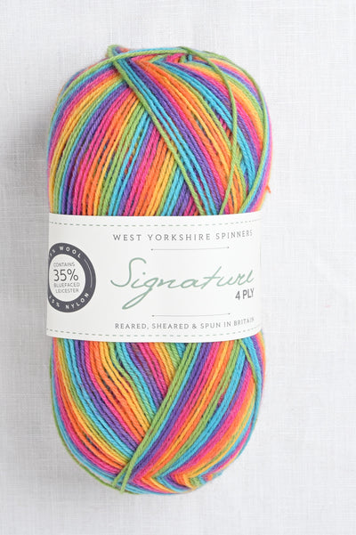 WYS Signature 4 Ply 822 Rum Paradise