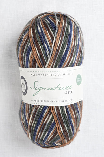 WYS Signature 4 Ply 862 Mallard