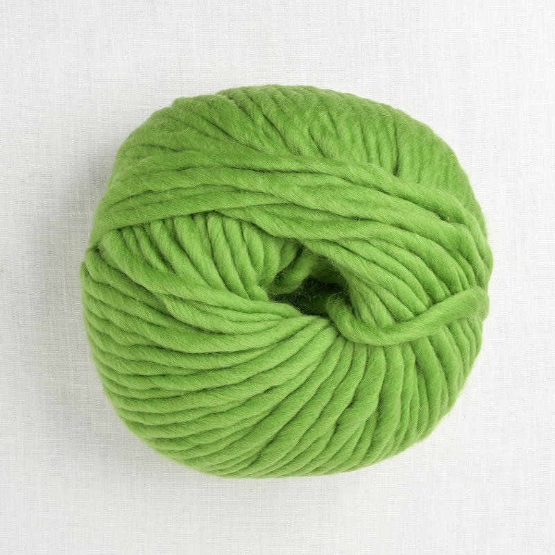 Wool and the Gang Crazy Sexy Wool 317 Wonderland Green